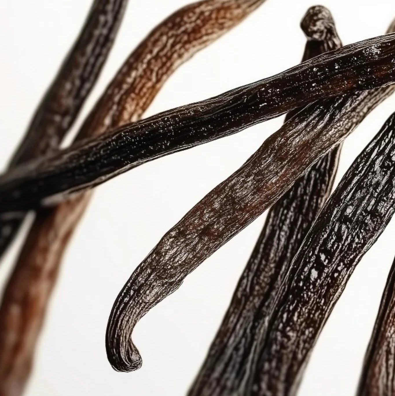 Parfums de Marly althair 125ml - Image 5